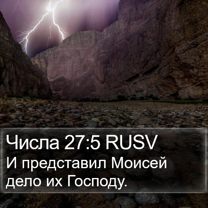 Числа 27:5 RUSV Bible Study