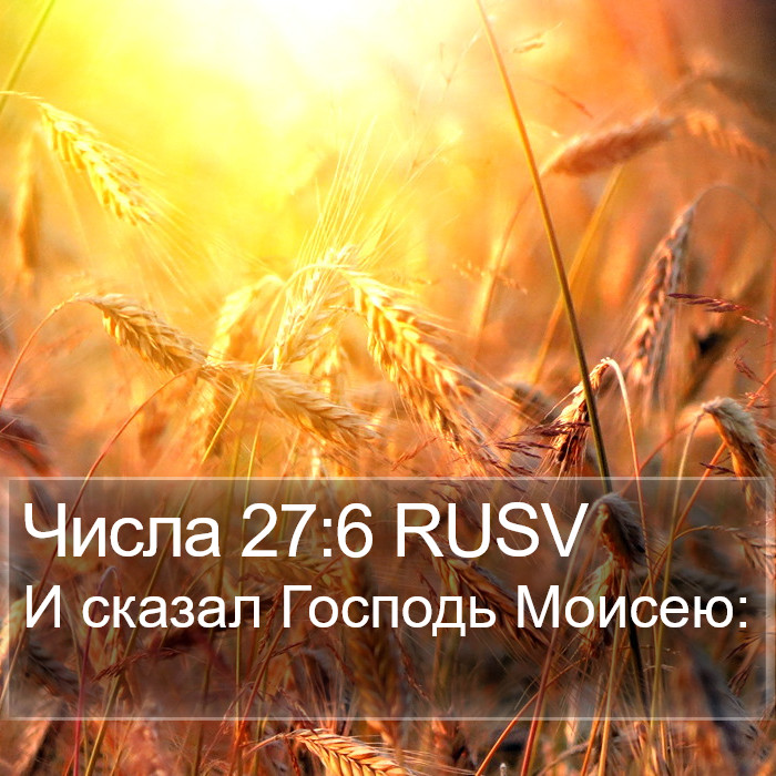 Числа 27:6 RUSV Bible Study