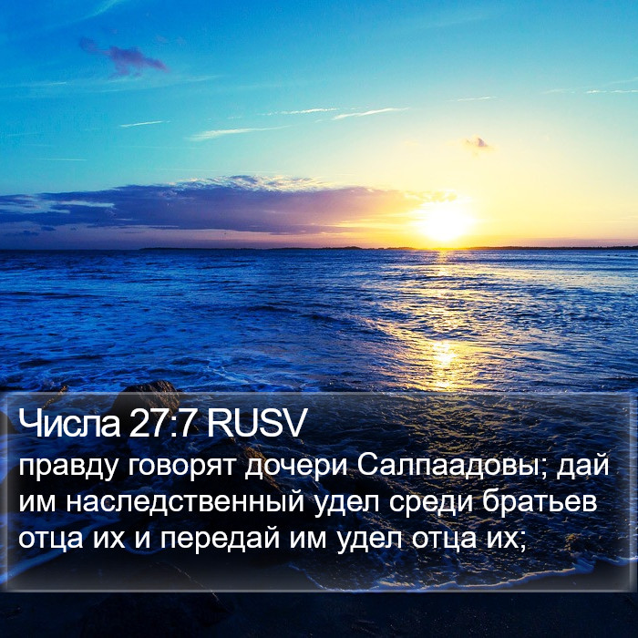 Числа 27:7 RUSV Bible Study