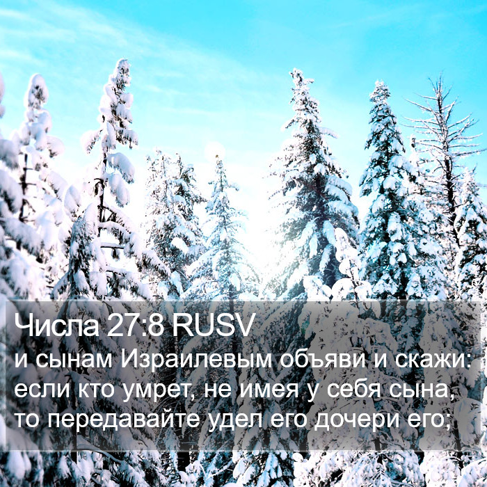 Числа 27:8 RUSV Bible Study