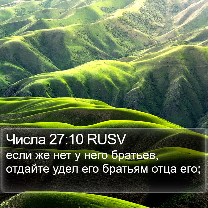 Числа 27:10 RUSV Bible Study