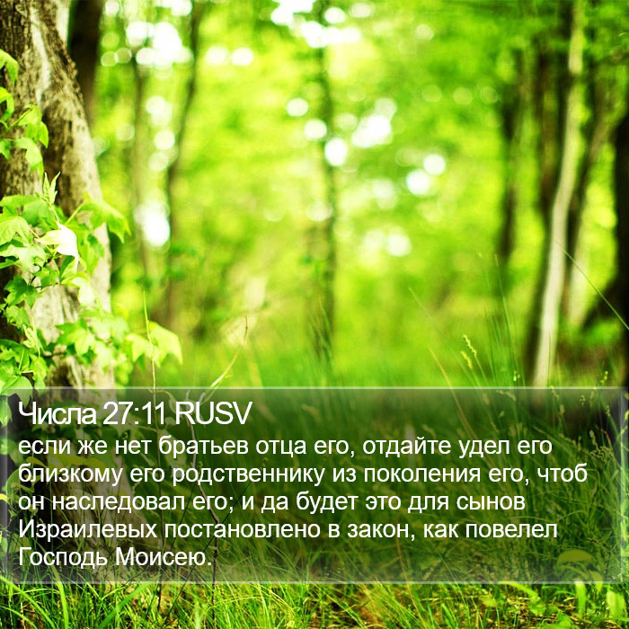 Числа 27:11 RUSV Bible Study