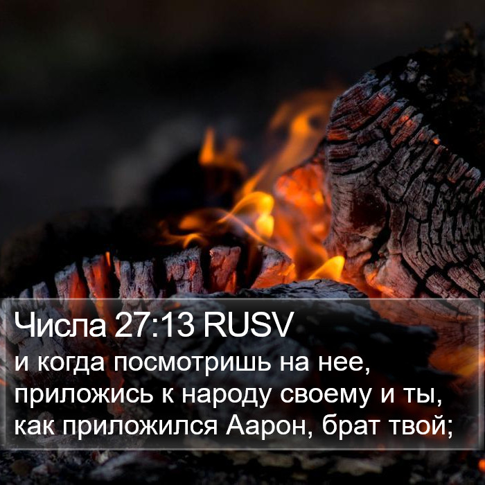 Числа 27:13 RUSV Bible Study