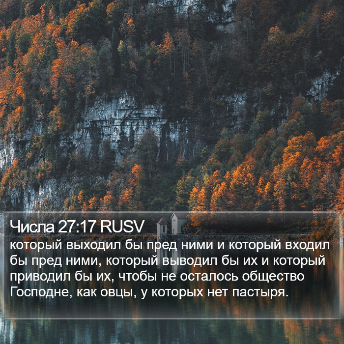 Числа 27:17 RUSV Bible Study