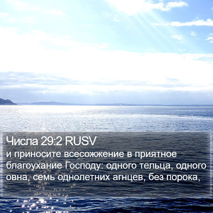 Числа 29:2 RUSV Bible Study