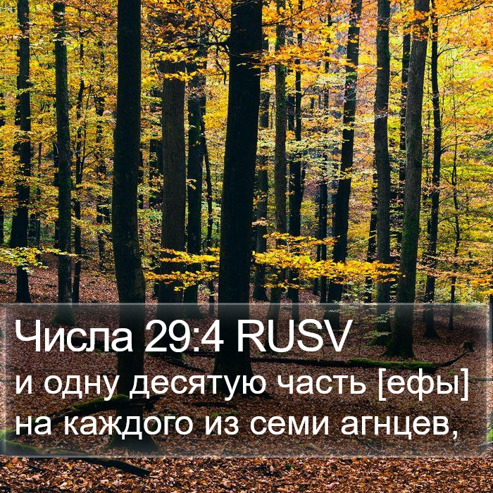 Числа 29:4 RUSV Bible Study