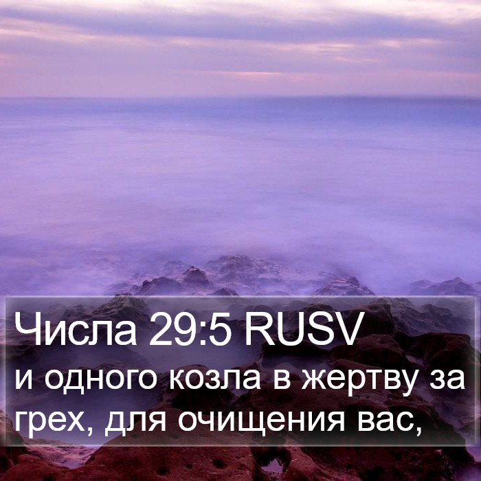 Числа 29:5 RUSV Bible Study