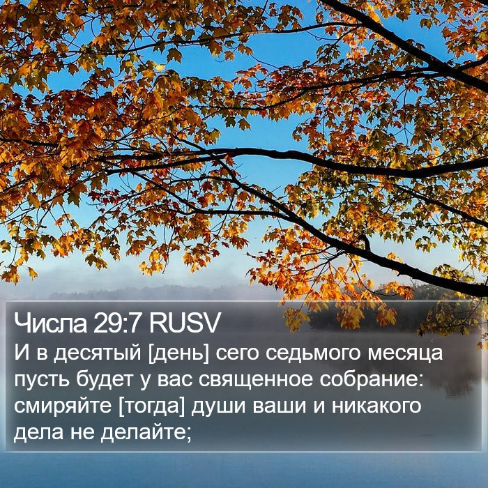 Числа 29:7 RUSV Bible Study