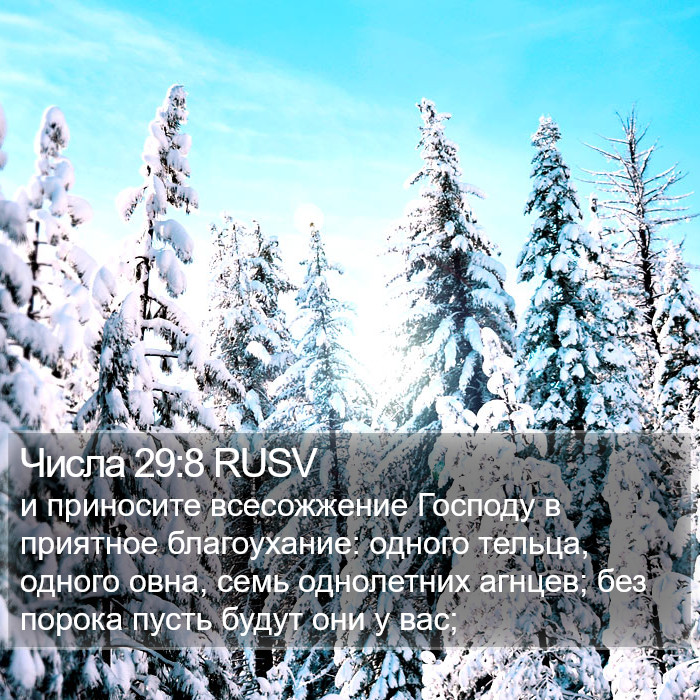 Числа 29:8 RUSV Bible Study