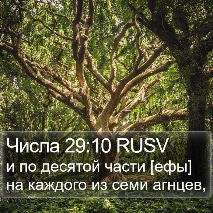 Числа 29:10 RUSV Bible Study