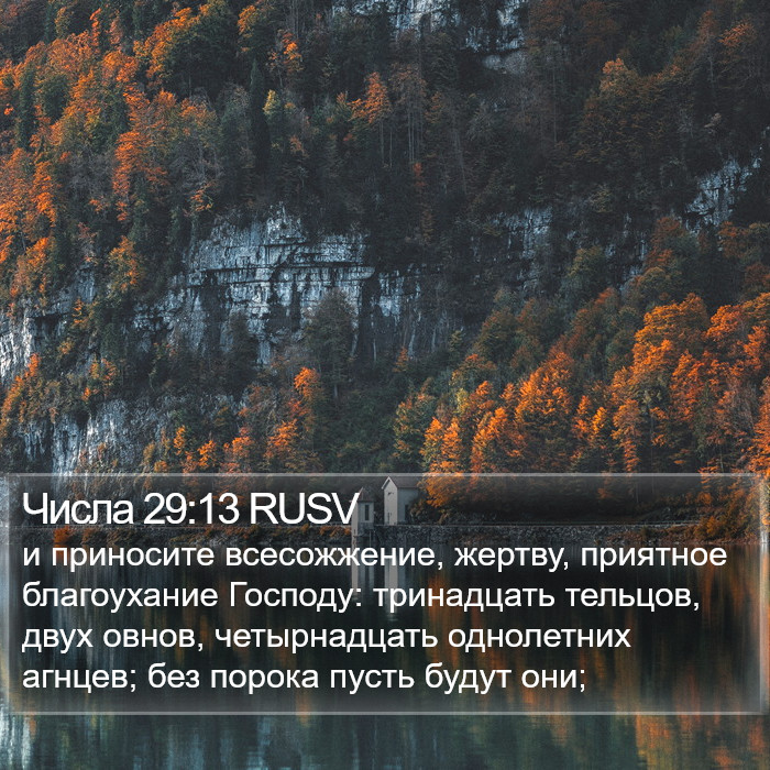 Числа 29:13 RUSV Bible Study