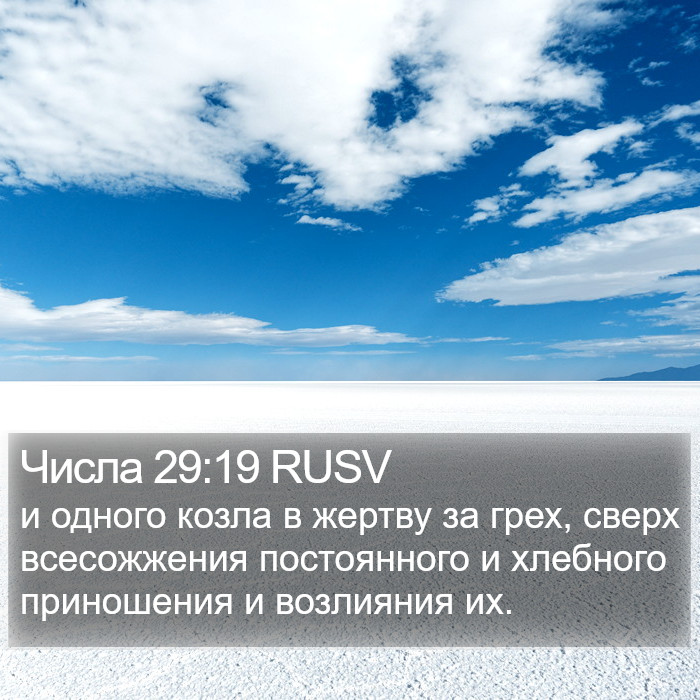 Числа 29:19 RUSV Bible Study