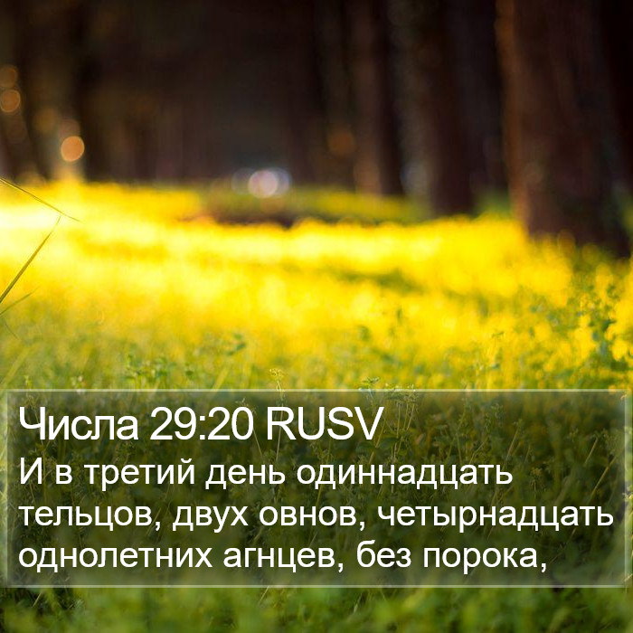 Числа 29:20 RUSV Bible Study