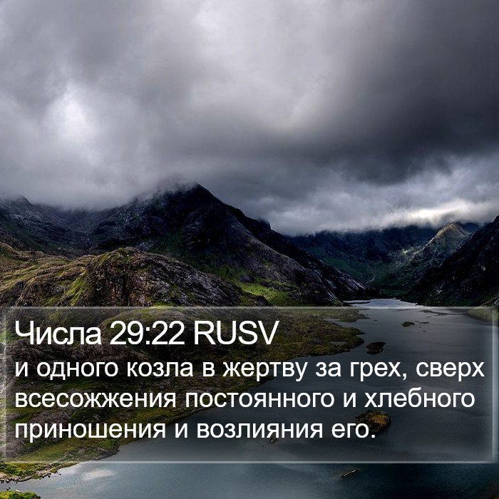 Числа 29:22 RUSV Bible Study