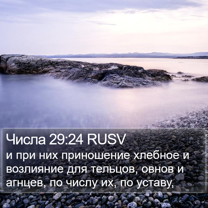 Числа 29:24 RUSV Bible Study
