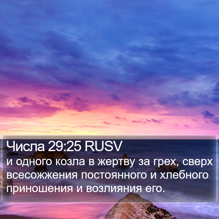 Числа 29:25 RUSV Bible Study