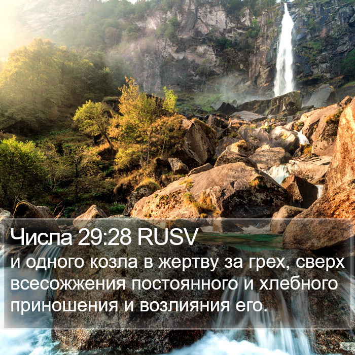Числа 29:28 RUSV Bible Study