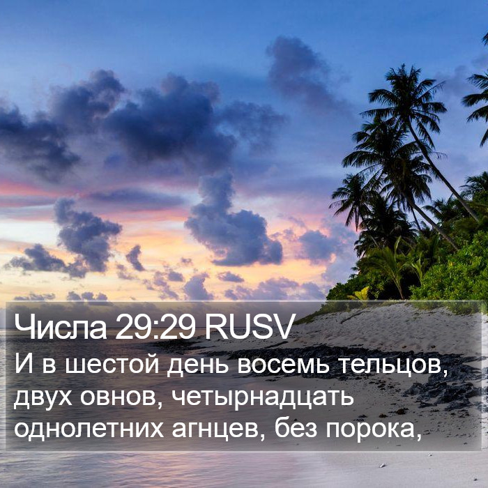 Числа 29:29 RUSV Bible Study