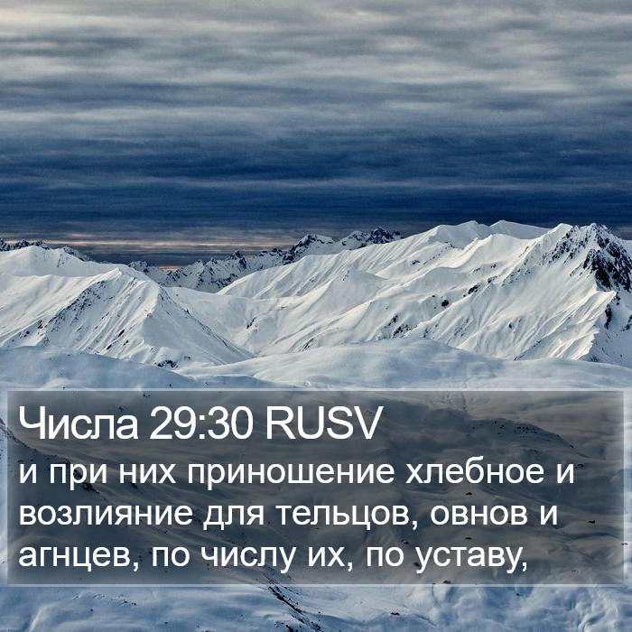 Числа 29:30 RUSV Bible Study