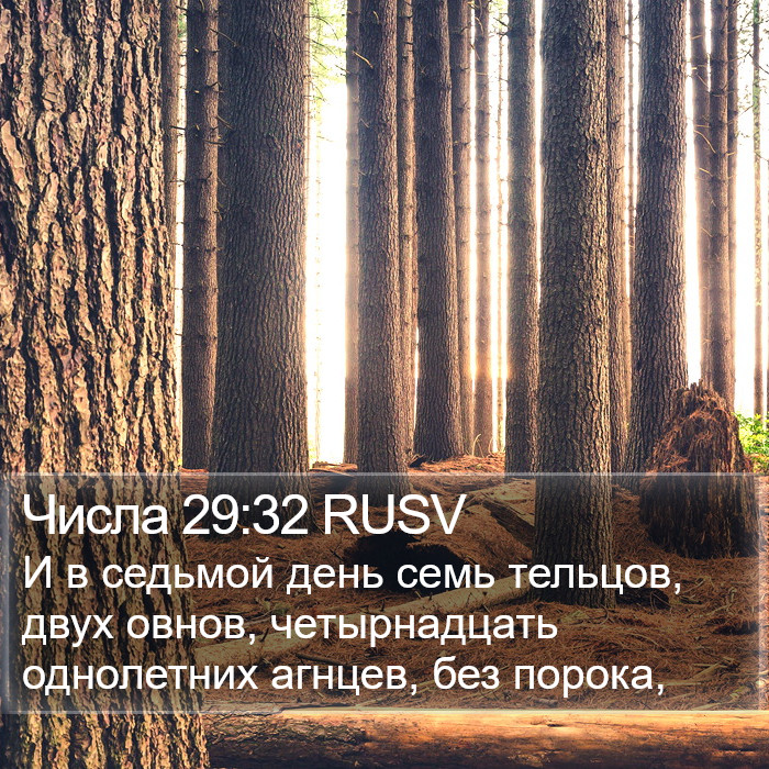 Числа 29:32 RUSV Bible Study