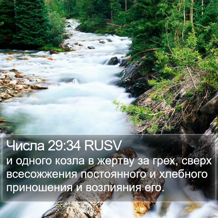 Числа 29:34 RUSV Bible Study