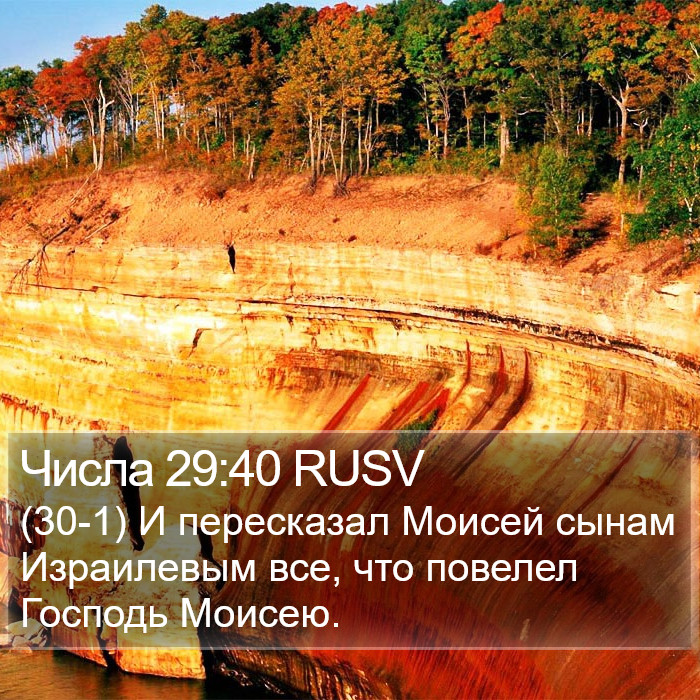 Числа 29:40 RUSV Bible Study