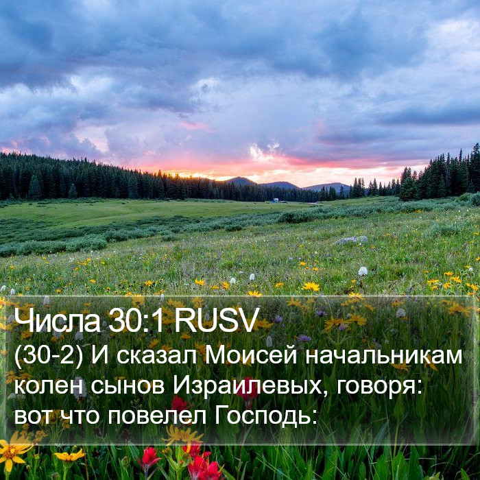 Числа 30:1 RUSV Bible Study