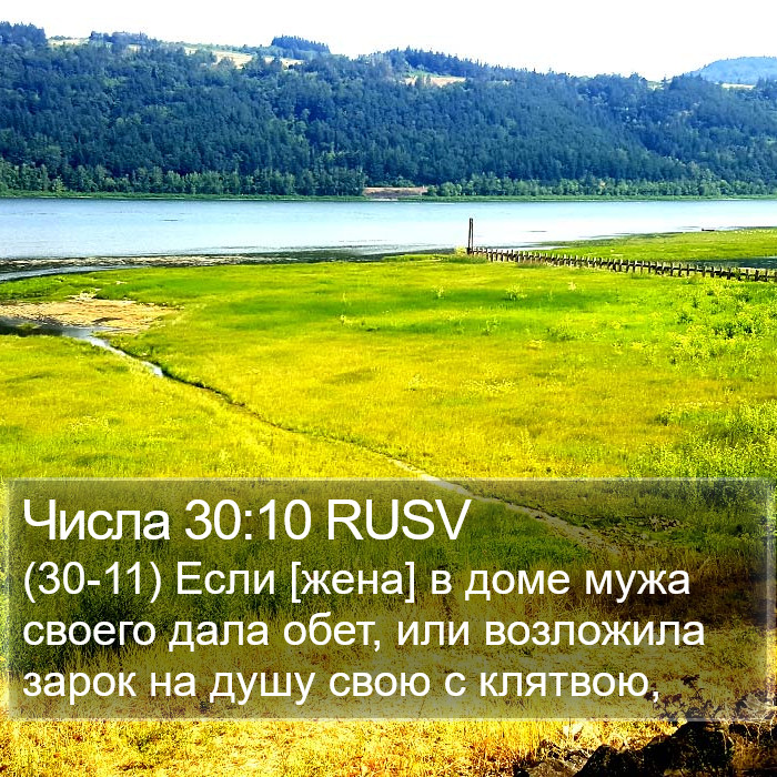 Числа 30:10 RUSV Bible Study