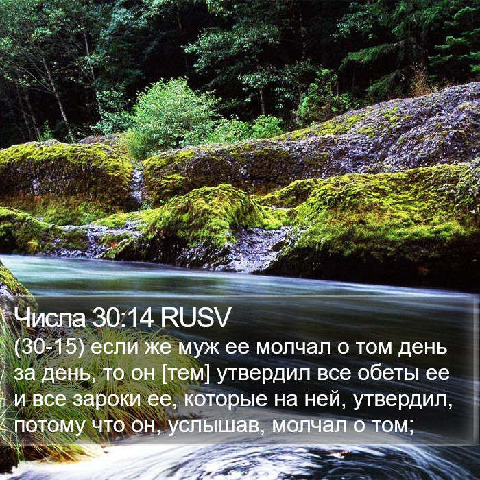 Числа 30:14 RUSV Bible Study