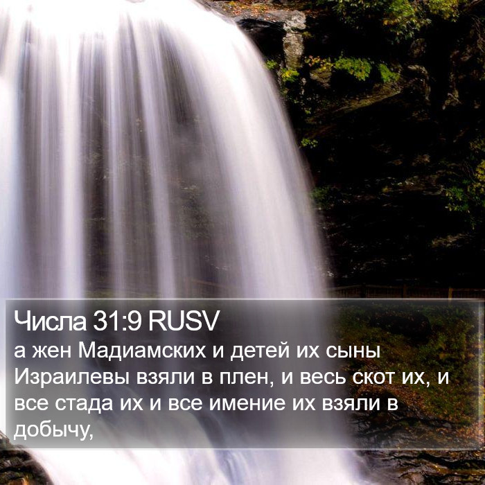 Числа 31:9 RUSV Bible Study