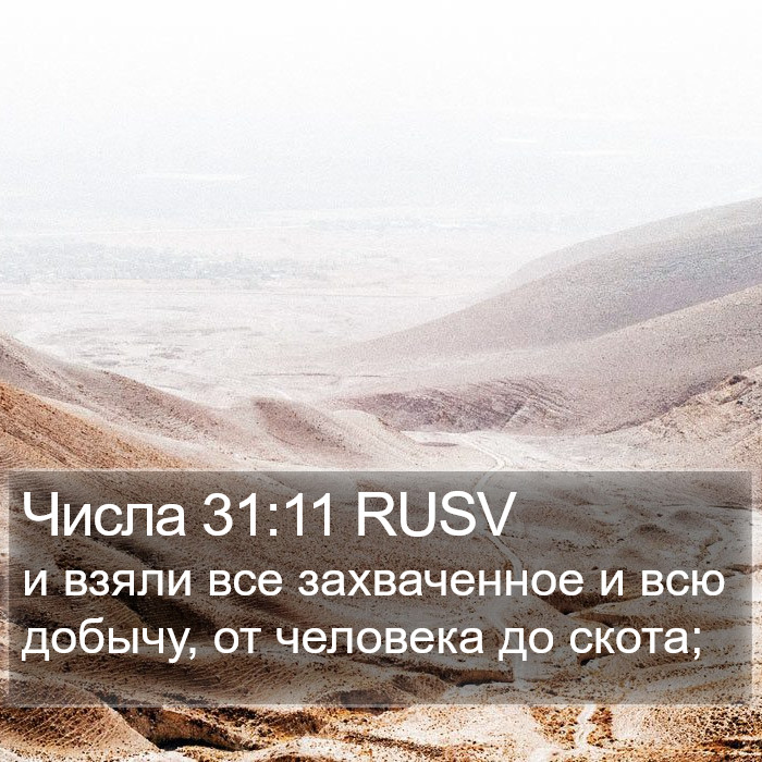 Числа 31:11 RUSV Bible Study
