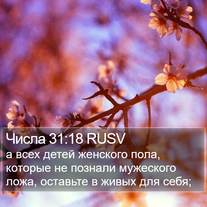 Числа 31:18 RUSV Bible Study
