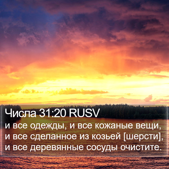 Числа 31:20 RUSV Bible Study