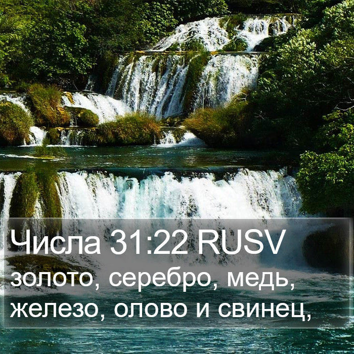 Числа 31:22 RUSV Bible Study