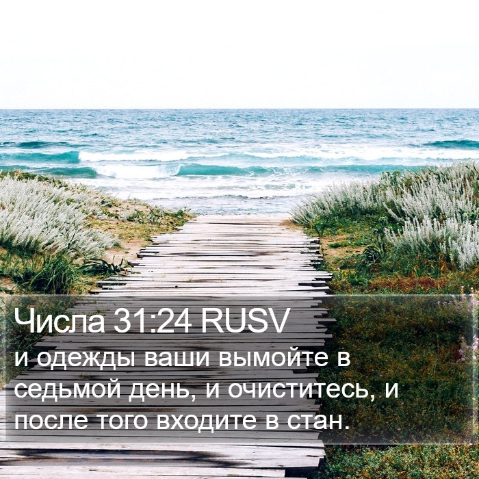 Числа 31:24 RUSV Bible Study