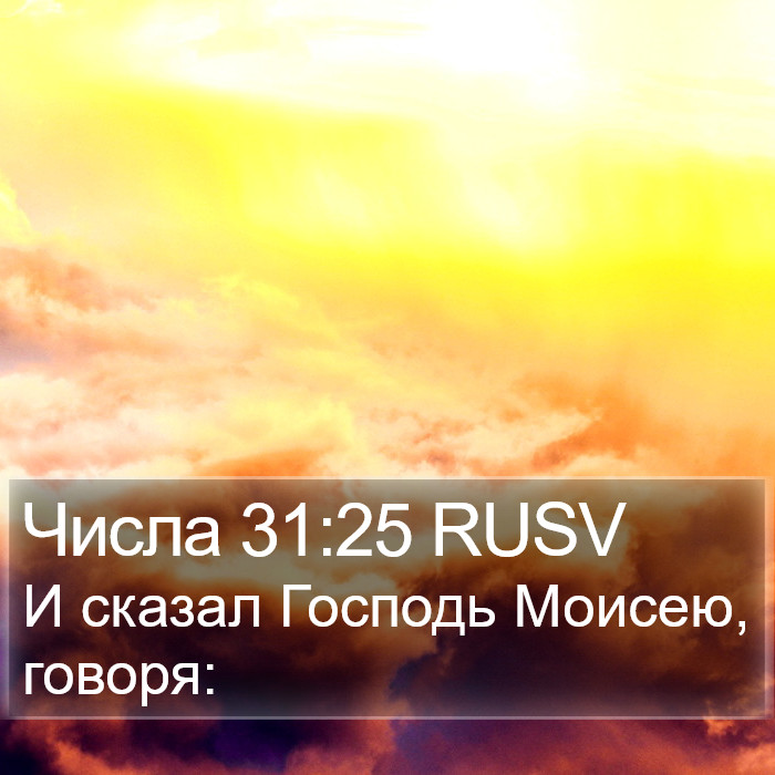 Числа 31:25 RUSV Bible Study