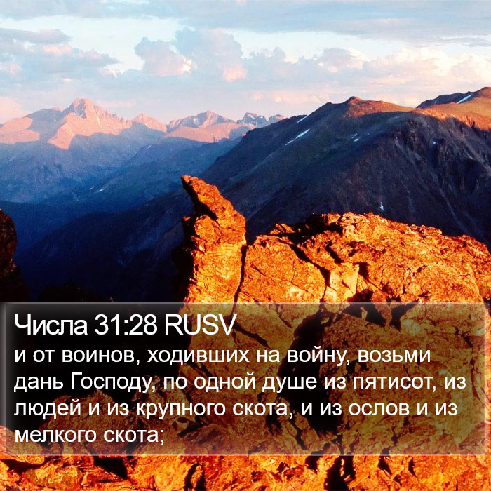 Числа 31:28 RUSV Bible Study