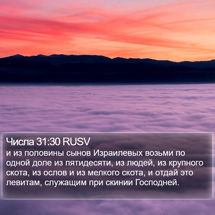 Числа 31:30 RUSV Bible Study