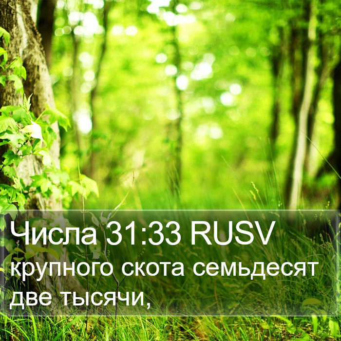Числа 31:33 RUSV Bible Study