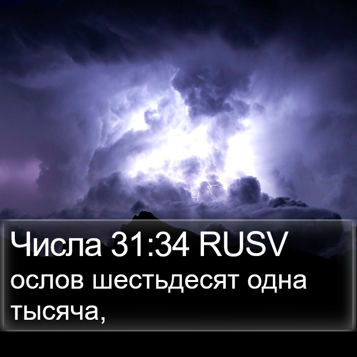 Числа 31:34 RUSV Bible Study