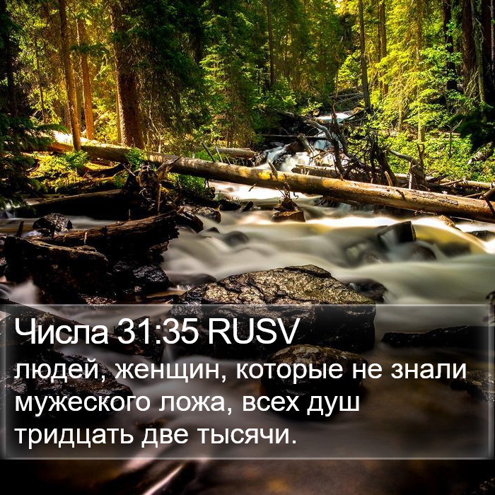Числа 31:35 RUSV Bible Study