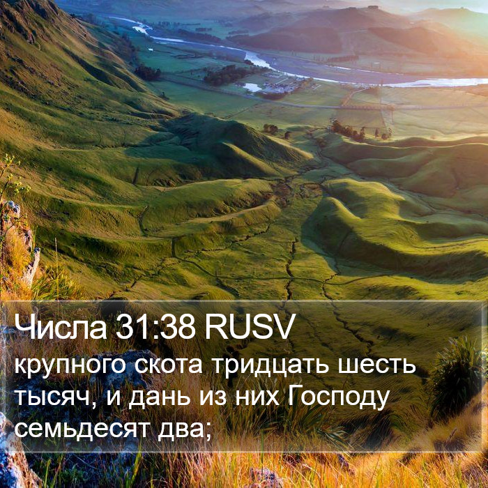 Числа 31:38 RUSV Bible Study