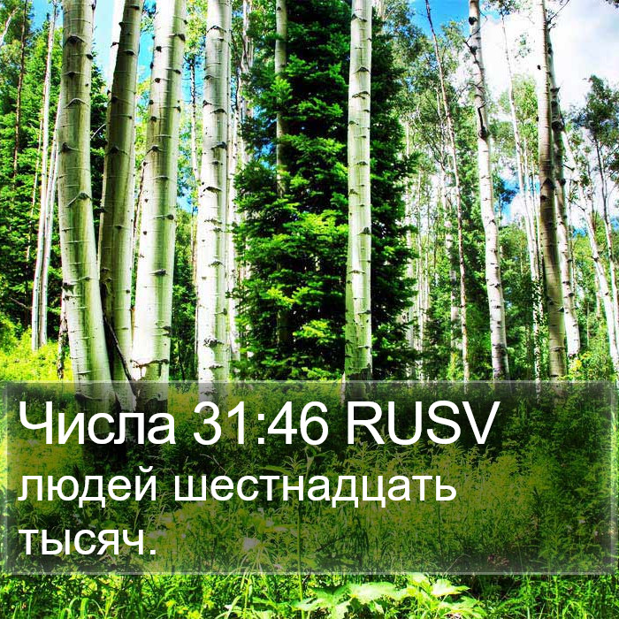 Числа 31:46 RUSV Bible Study