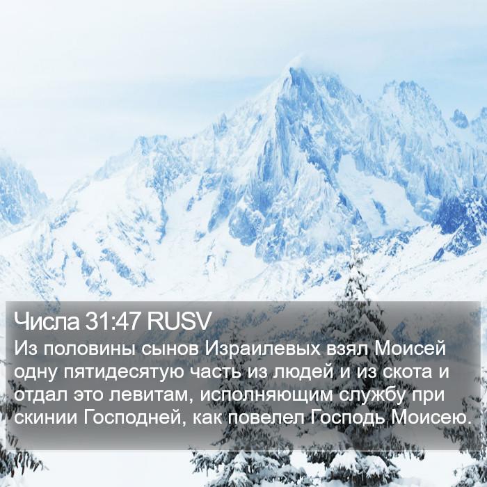 Числа 31:47 RUSV Bible Study