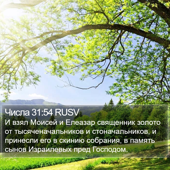 Числа 31:54 RUSV Bible Study