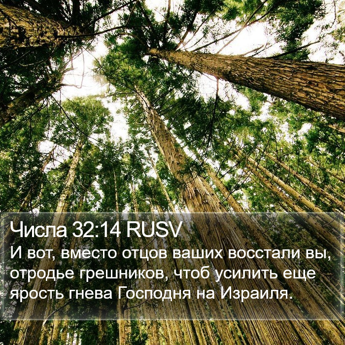 Числа 32:14 RUSV Bible Study