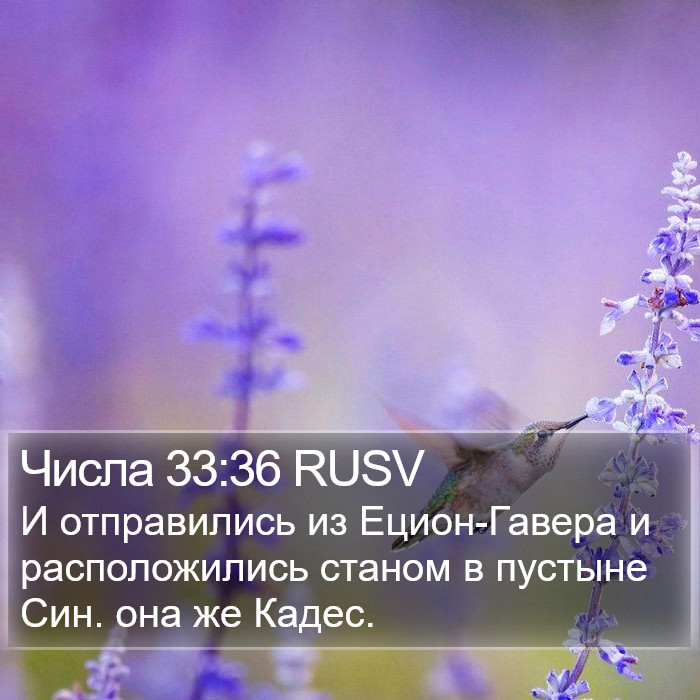 Числа 33:36 RUSV Bible Study