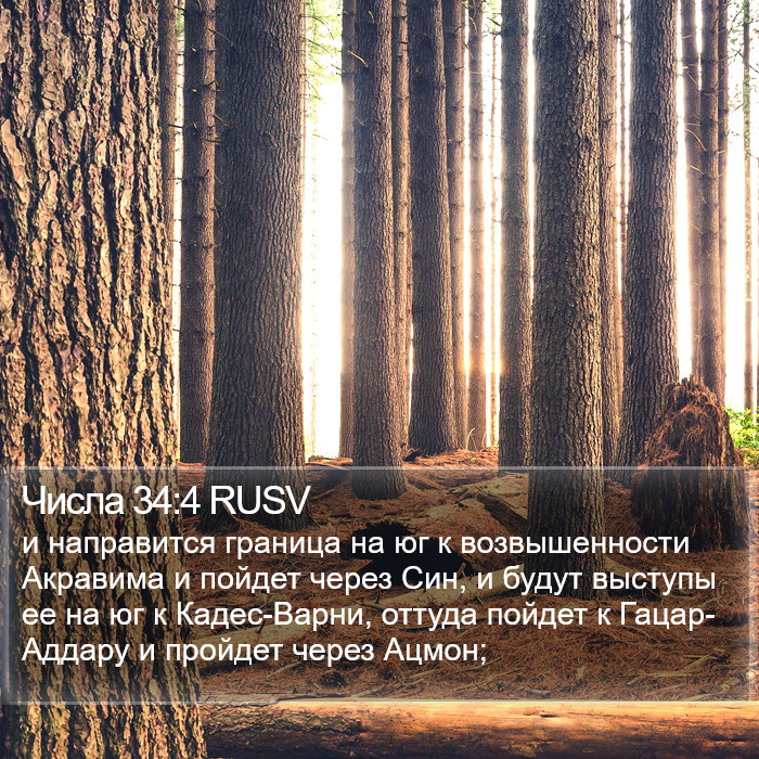 Числа 34:4 RUSV Bible Study
