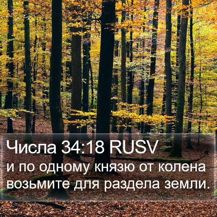 Числа 34:18 RUSV Bible Study