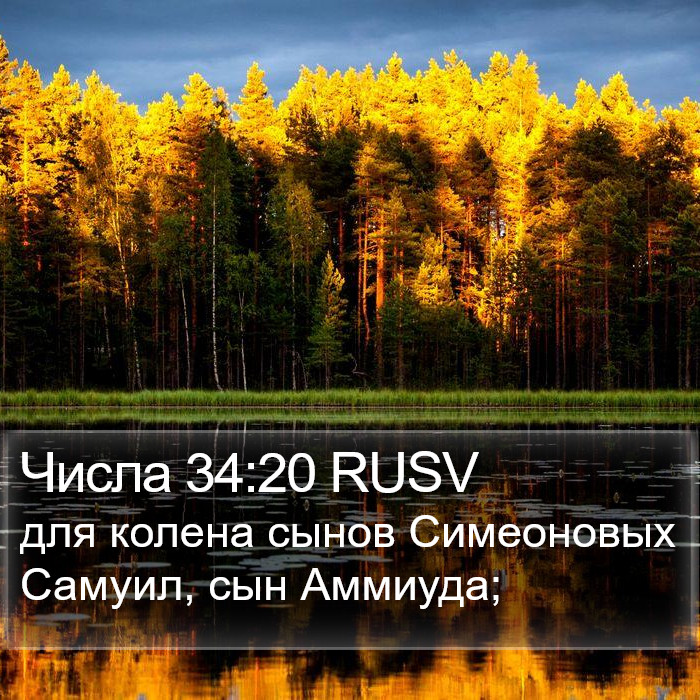 Числа 34:20 RUSV Bible Study